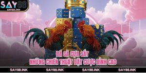 Đá gà cựa sắt