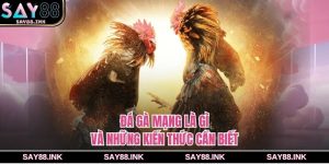 Đá gà mạng là gì