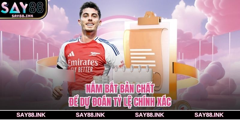 Nắm bắt bản chất để dự đoán tỷ lệ chính xác