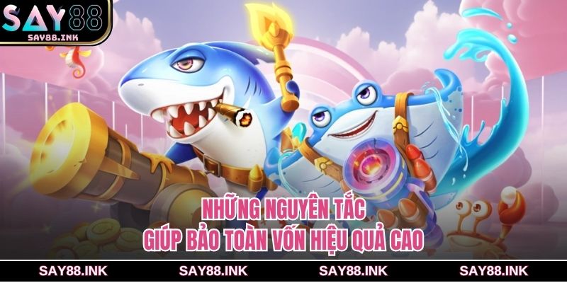 Những nguyên tắc giúp bảo toàn vốn hiệu quả cao