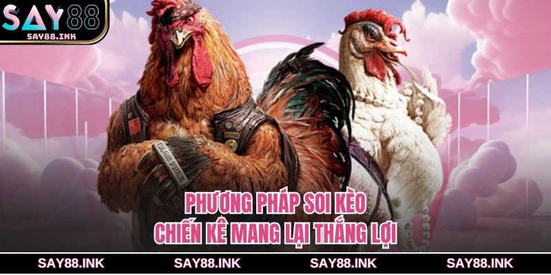 Phương pháp soi kèo chiến kê mang lại thắng lợi