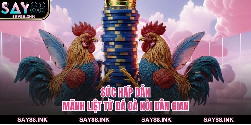 Sức hấp dẫn mãnh liệt từ đá gà nòi dân gian
