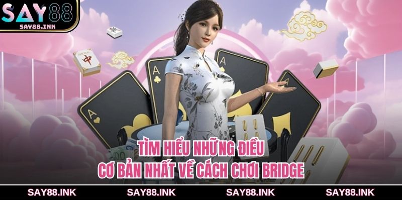Tìm hiểu những điều cơ bản nhất về cách chơi Bridge
